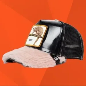 Goorin Bros | Accessories | Goorin Bros The Farm Trucker  display picture 1